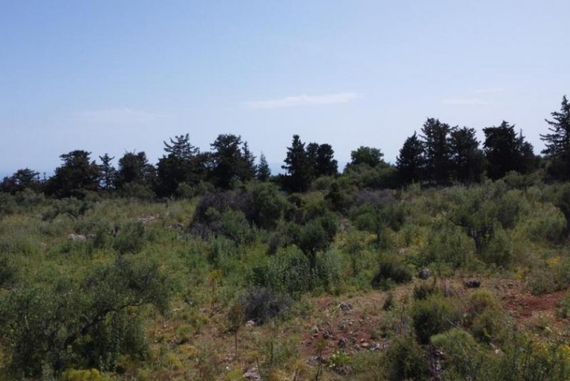 Kefalas Kreta, Kefalas: Malerisches Grundstück mit Meerblick zu verkaufen Grundstück kaufen